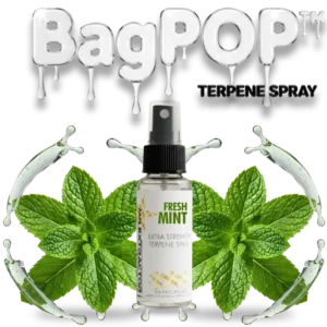 Spearmint Fresh BagPOP Terpene Spray bottle with mint leaves and cool vapor swirl
