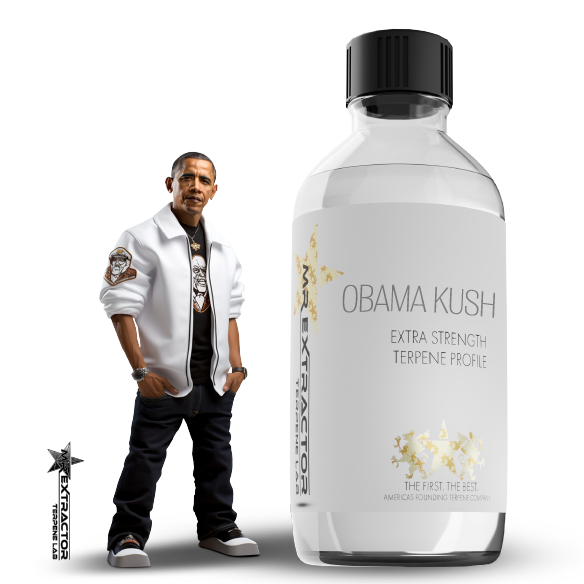 Experience presidential class with Mr Extractor's top-rated Obama Kush Terpenes. Celebrated for its unique blend, it's the most awarded indica profile bringing dignified relaxation.