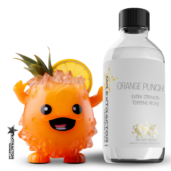 Mr Extractor's "Orange Punch" Terpenes: Exquisite fusion of GDP, Critical, and Orange Bud, radiating flavors of mango, orange, and pungent tones.